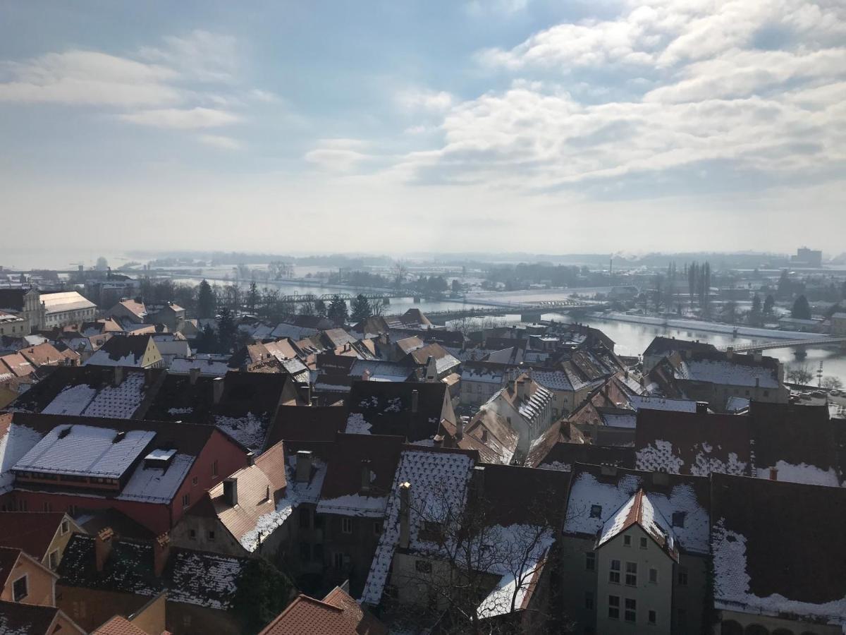Apartments Terme Птуй Екстериор снимка